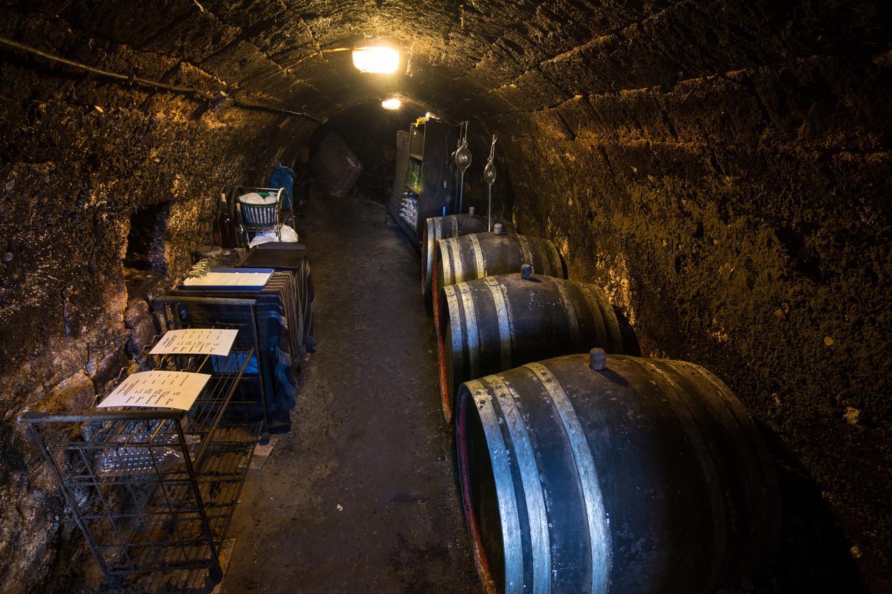 Vaskó Panzió Borpince Acomodação com café da manhã Tokaj Exterior foto